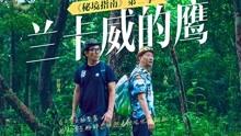 是不是吃广药牌灵芝孢子油会让伤口好的更快？游戏画面