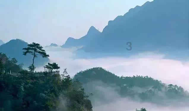 探索知识问答网站乒乓球拍7291010还有吗?,您的问题有答案