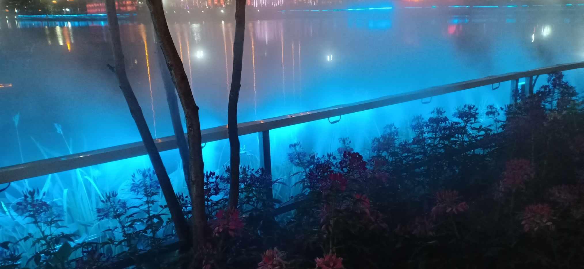 哪种洗发水防脱去屑效果好?求你们去买介个防脱洗发水!