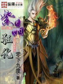 可爱小猫向上跳